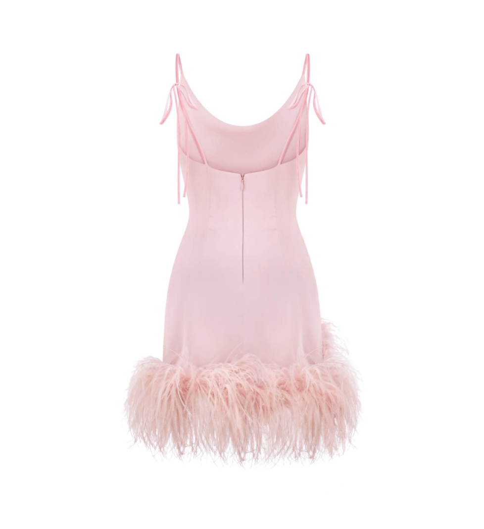 Blazy Shower Mini Paradise Bird Dress In Opal Rose