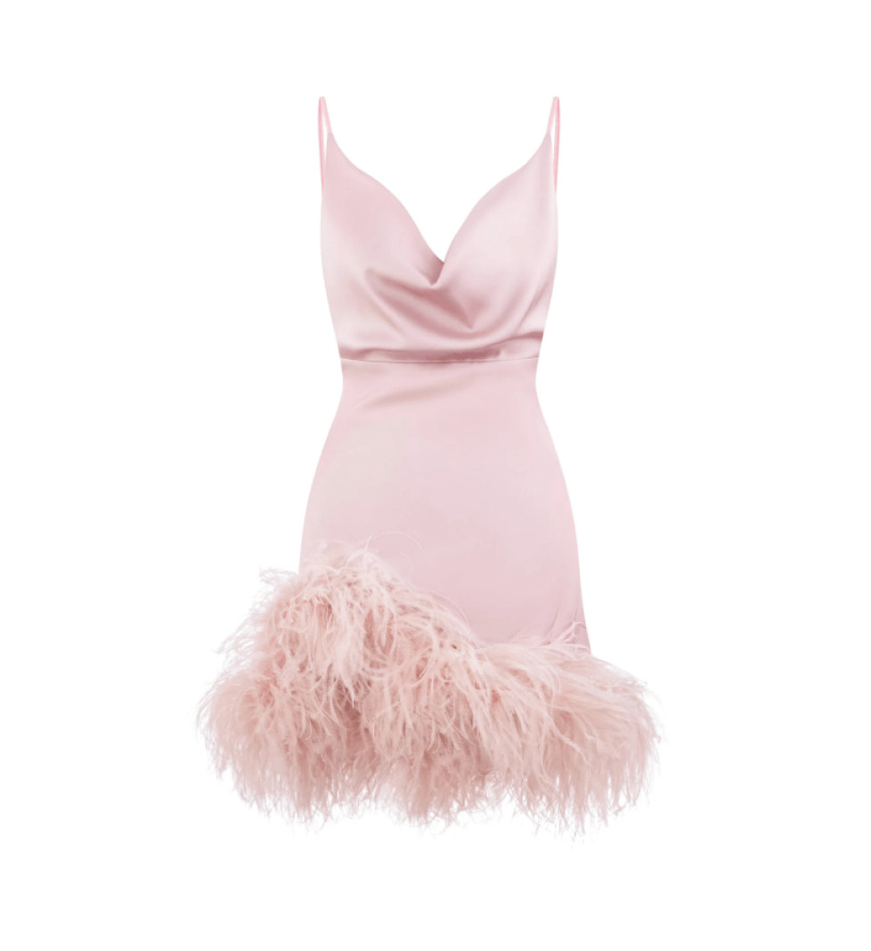 Blazy Shower Mini Paradise Bird Dress In Opal Rose