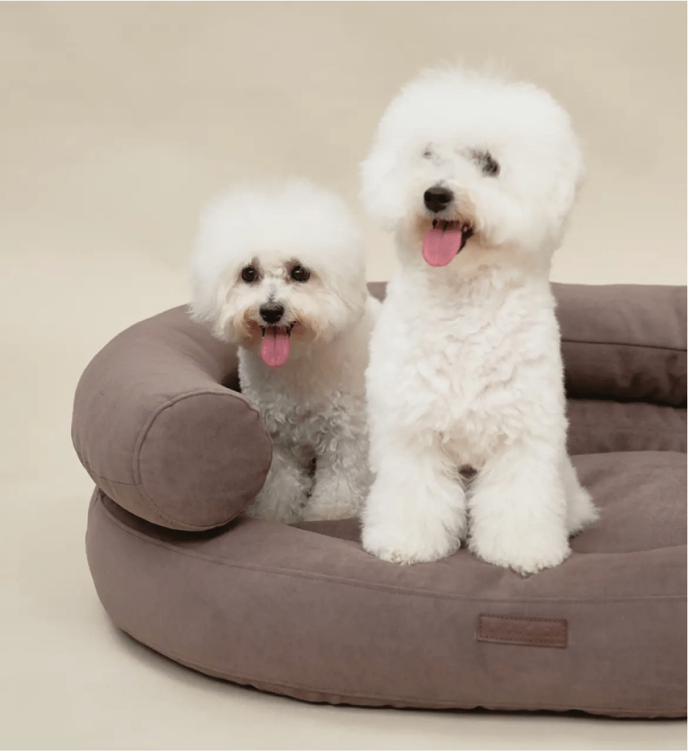 CHOUCHOU orthopedic bed for dogs “Marshmallow” brown