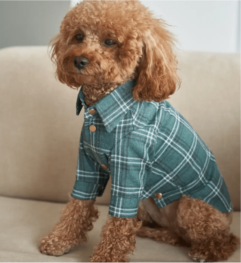 CHOUCHOU checkered shirt for dogs green
