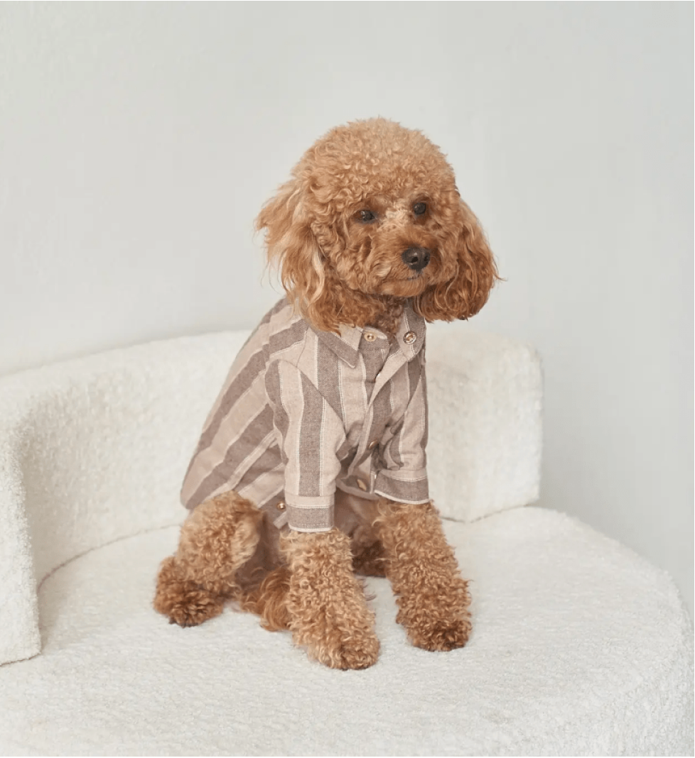 CHOUCHOU striped shirt for dogs beige