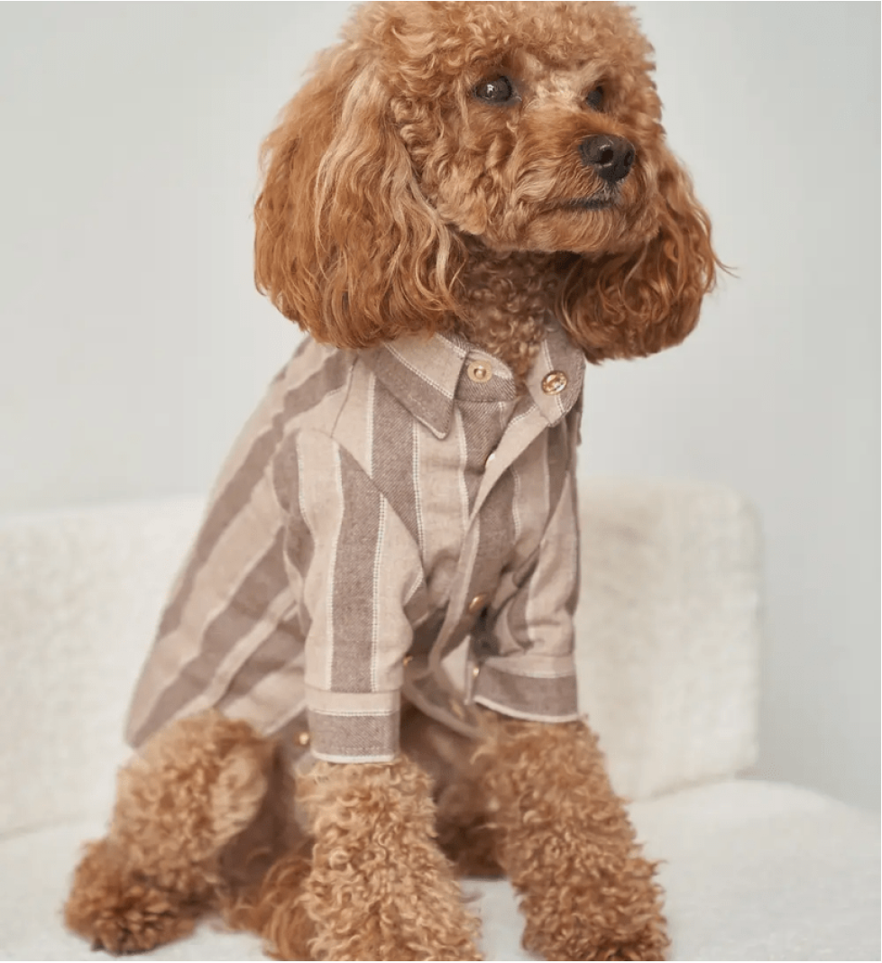 CHOUCHOU striped shirt for dogs beige