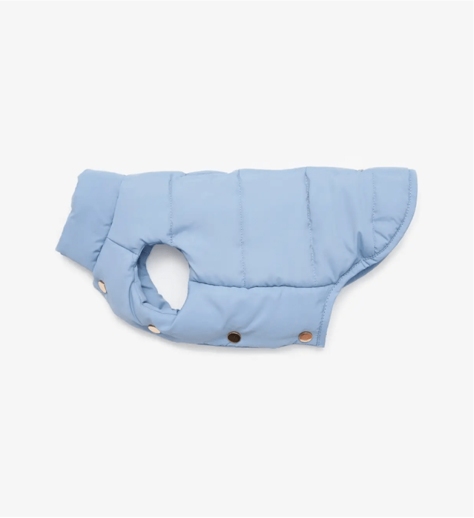 CHOUCHOU down vest for dogs blue