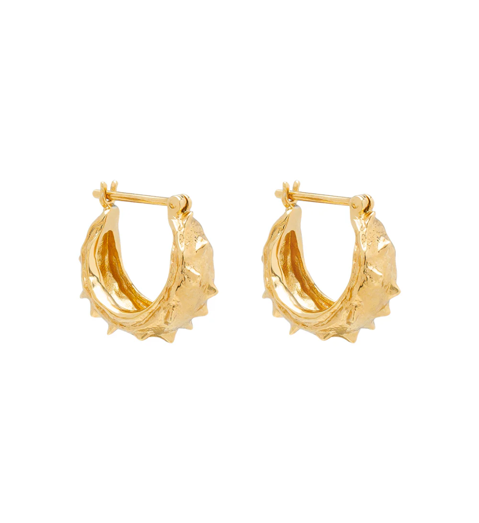 JEWERLY LAB K17 chestnut skin earrings in brass plated with 24 karat gold plating