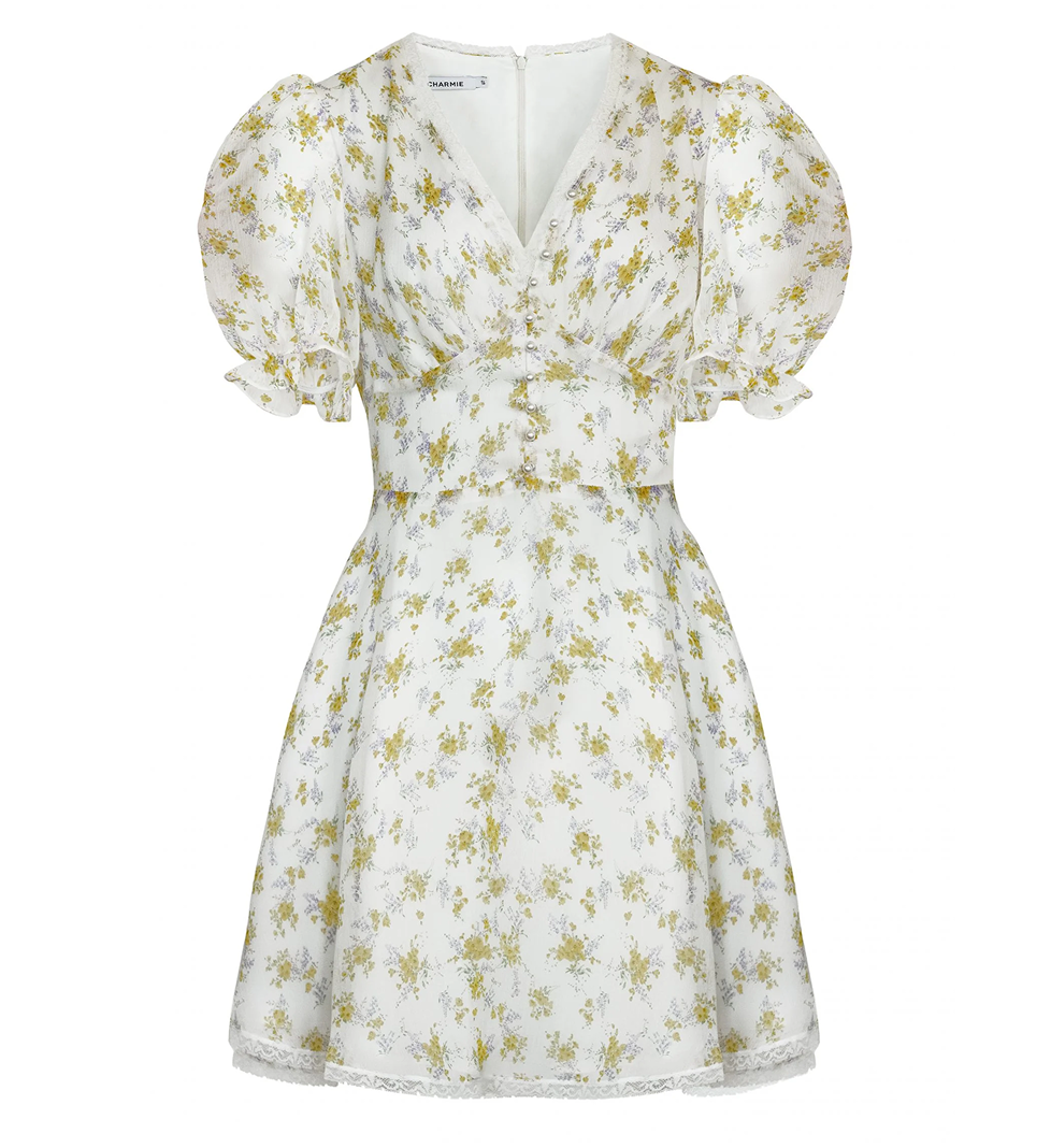 Le Charmie Roise dress