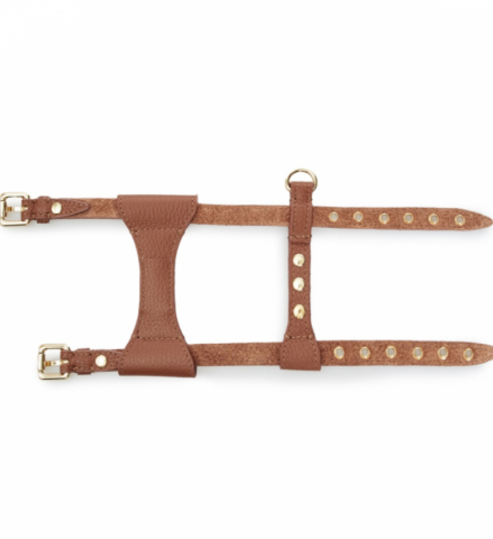MALTIPOO Dot Leather Harness Brown