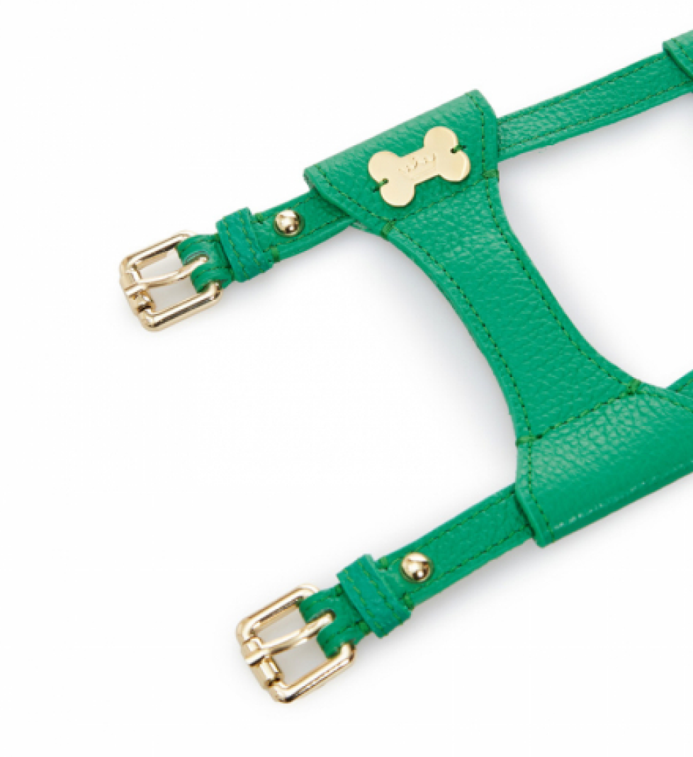 MALTIPOO Dot Leather Harness Green