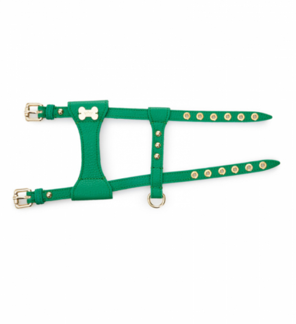 MALTIPOO Dot Leather Harness Green