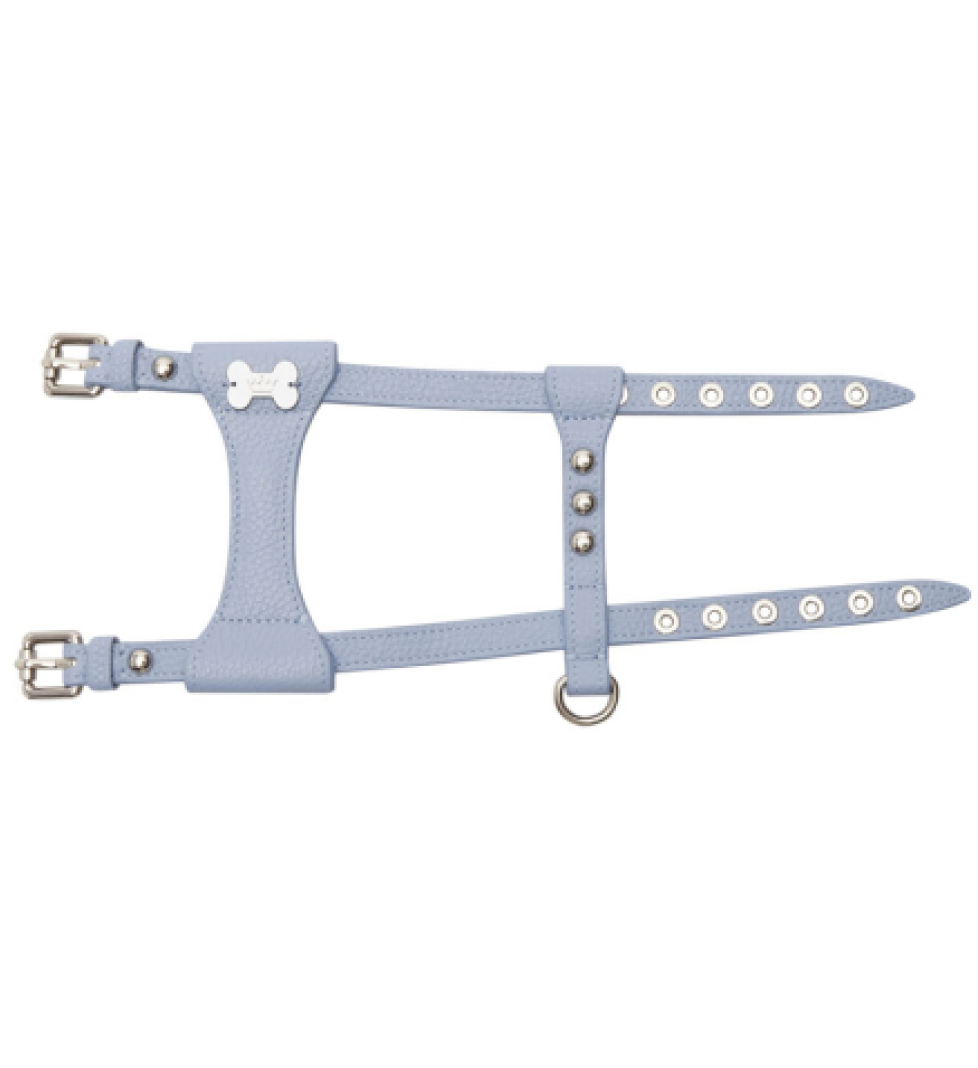 MALTIPOO Dot Leather Harness Light Blue
