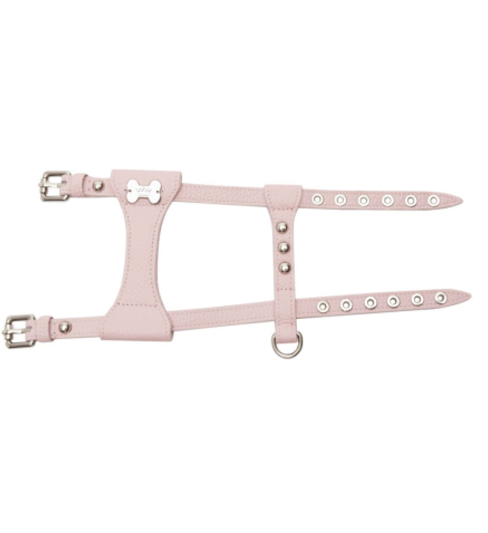 MALTIPOO Dot Leather Harness Pink