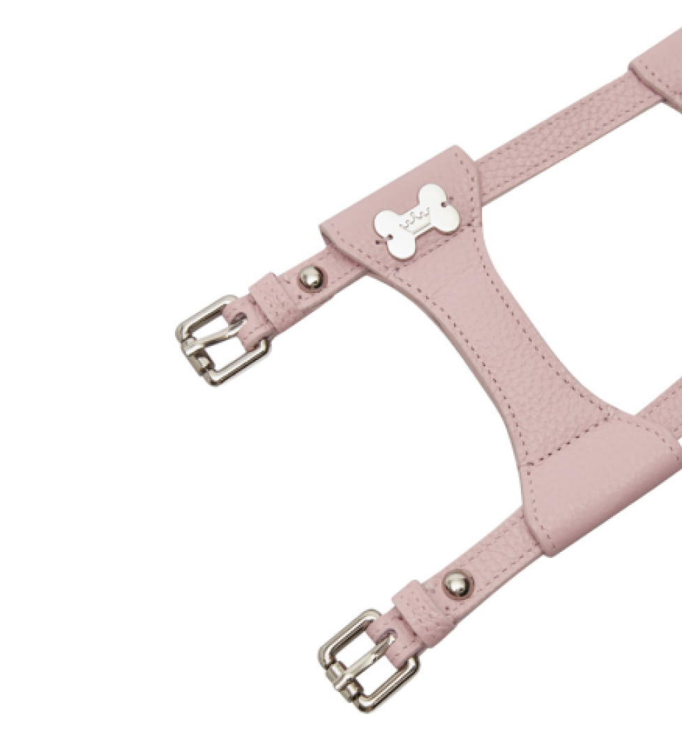 MALTIPOO Dot Leather Harness Pink