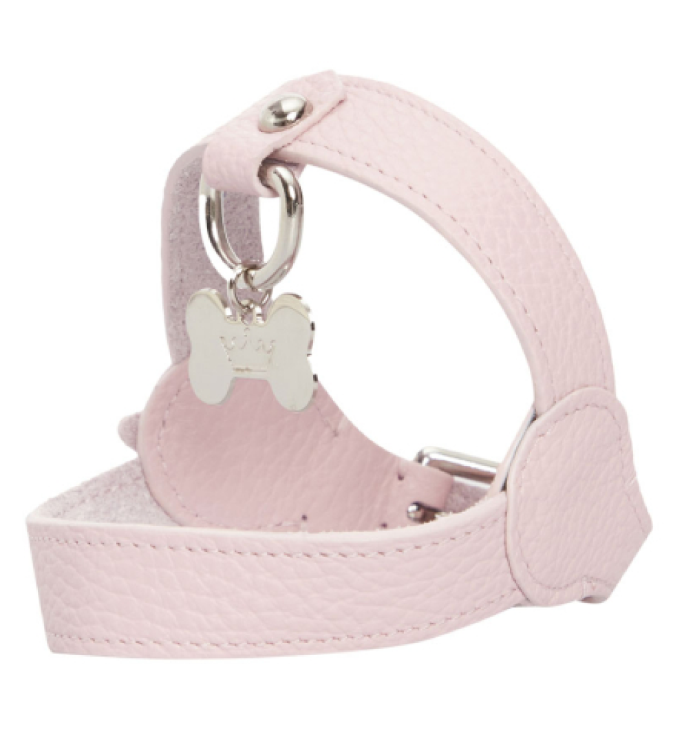 MALTIPOO Leather Harness Pink