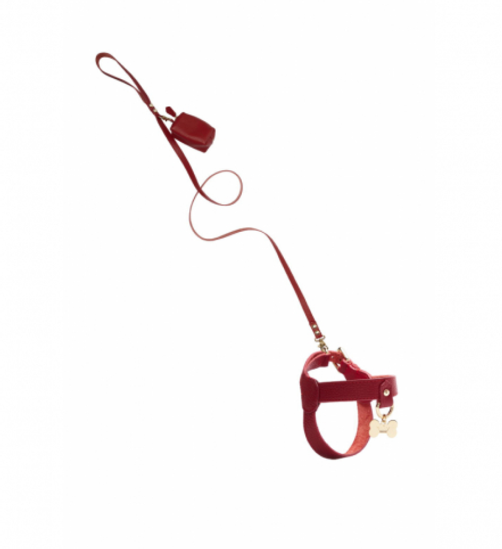 MALTIPOO Leather leash with small bag Burgundy