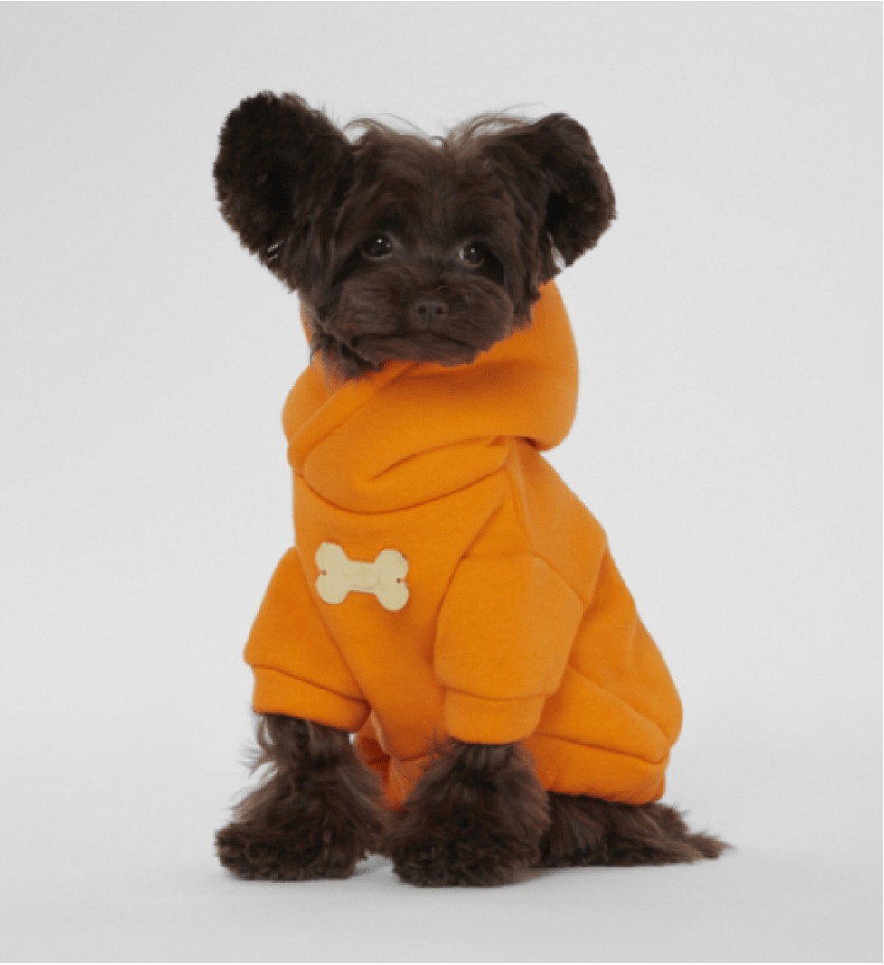 MALTIPOO Hoodie 2 Paws Orange