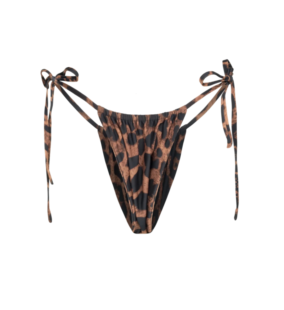 ROAR New Mexico bottom dark leo
