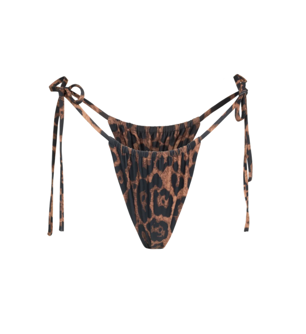 ROAR New Mexico bottom dark leo