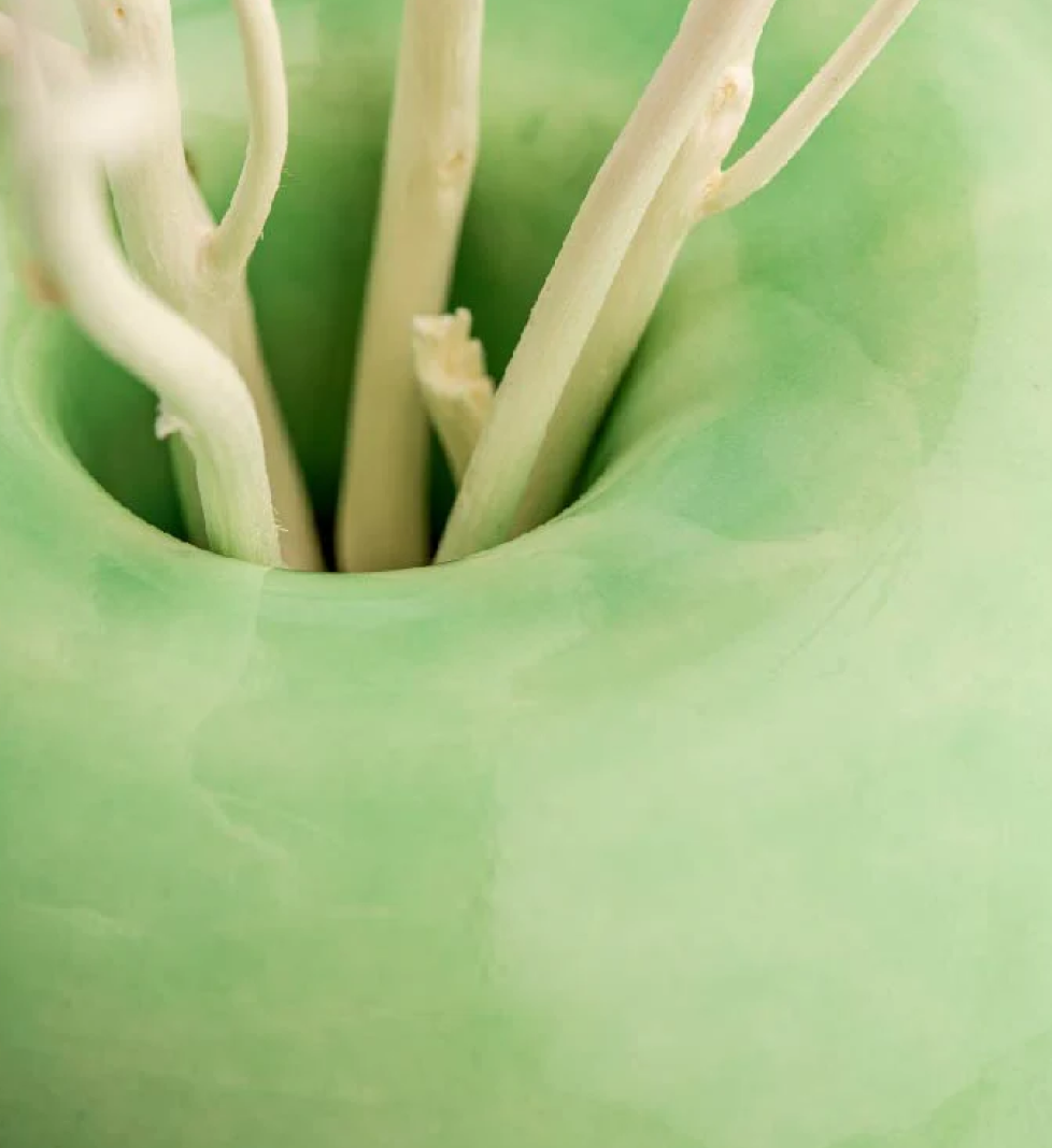Aroma diffuser SAVRUK PRIRODA